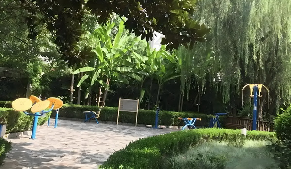 痴恋梧郎
